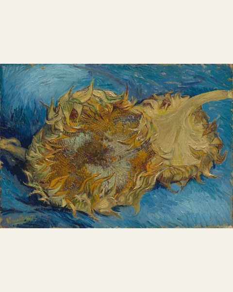 Sunflowers Art Print