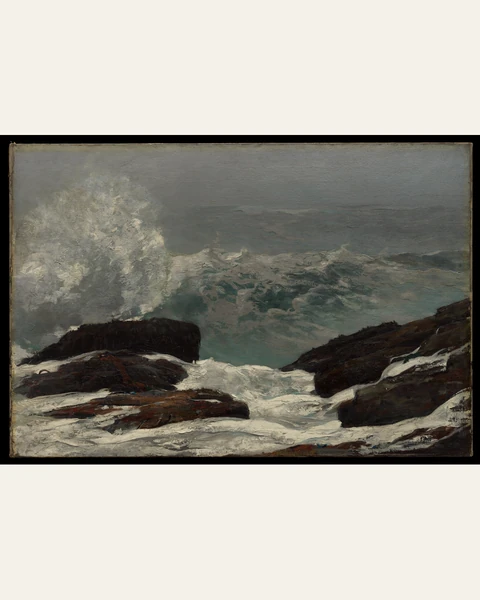 Maine Coast Art Print