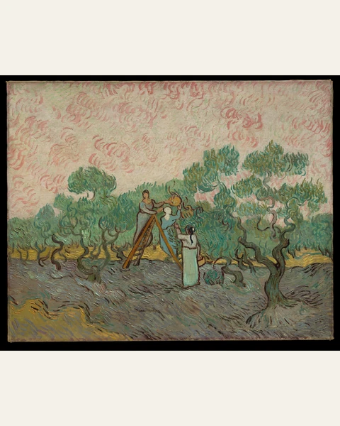 Women Picking Olives Art Print