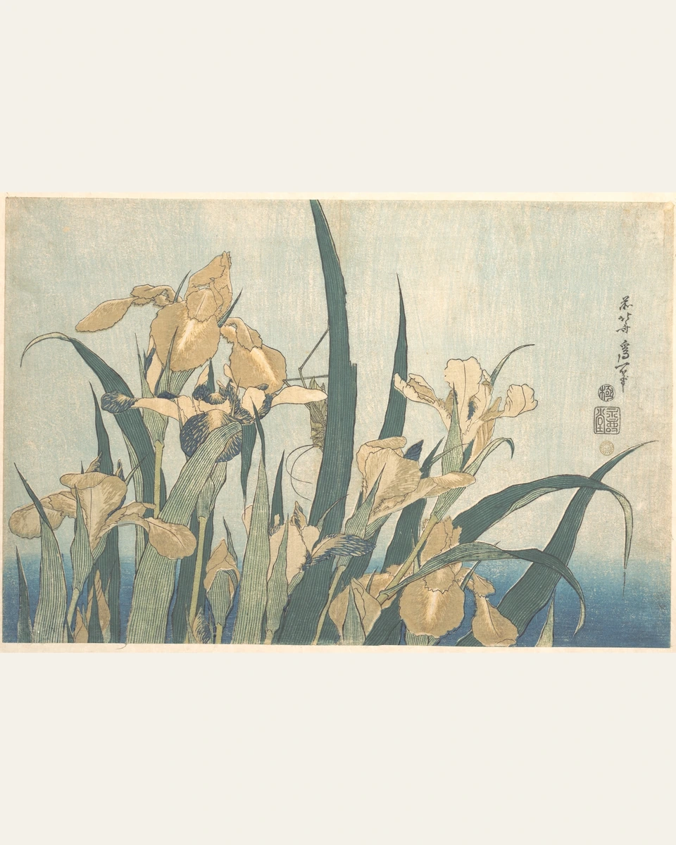 Grasshopper and Iris Art Print